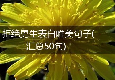 拒绝男生表白唯美句子(汇总50句)