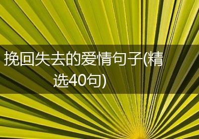 挽回失去的爱情句子(精选40句)