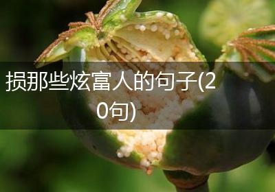 损那些炫富人的句子(20句)