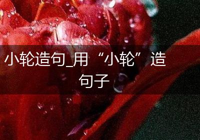 小轮造句_用“小轮”造句子