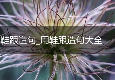 鞋跟造句_用鞋跟造句大全