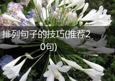 排列句子的技巧(推荐20句)