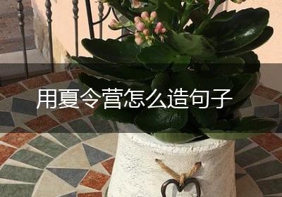 用夏令营怎么造句子