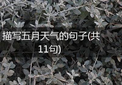 描写五月天气的句子(共11句)
