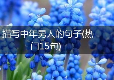 描写中年男人的句子(热门15句)