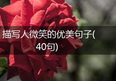 描写人微笑的优美句子(40句)