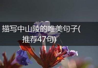 描写中山陵的唯美句子(推荐47句)