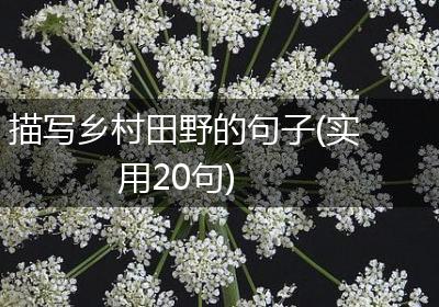 描写乡村田野的句子(实用20句)