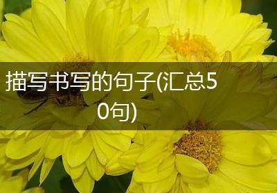 描写书写的句子(汇总50句)
