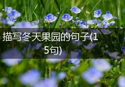 描写冬天果园的句子(15句)