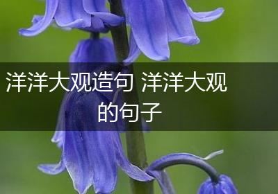 洋洋大观造句 洋洋大观的句子