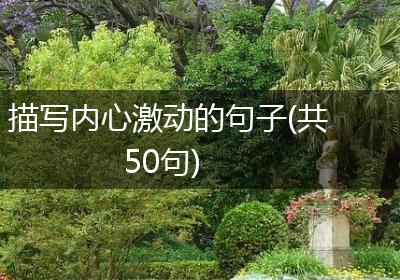 描写内心激动的句子(共50句)