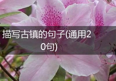 描写古镇的句子(通用20句)