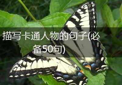 描写卡通人物的句子(必备50句)