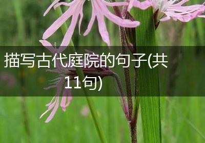 描写古代庭院的句子(共11句)