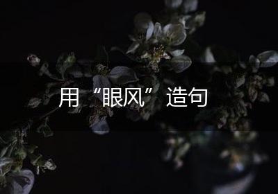 用“眼风”造句