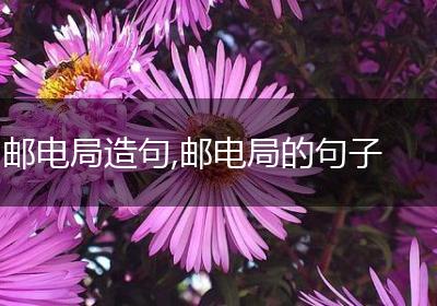 邮电局造句,邮电局的句子