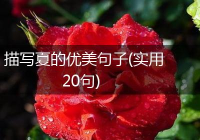 描写夏的优美句子(实用20句)