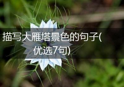 描写大雁塔景色的句子(优选7句)