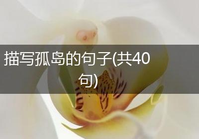 描写孤岛的句子(共40句)