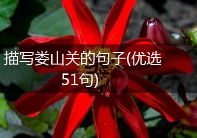 描写娄山关的句子(优选51句)