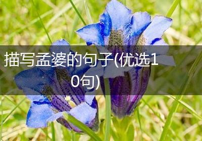 描写孟婆的句子(优选10句)