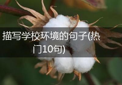 描写学校环境的句子(热门10句)