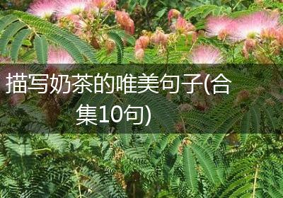 描写奶茶的唯美句子(合集10句)