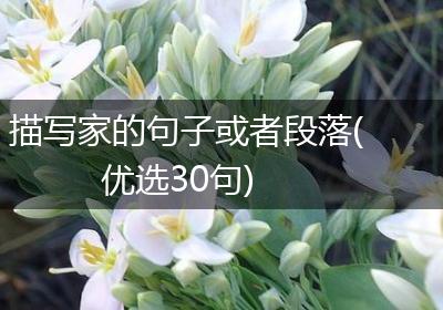 描写家的句子或者段落(优选30句)