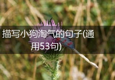 描写小狗淘气的句子(通用53句)