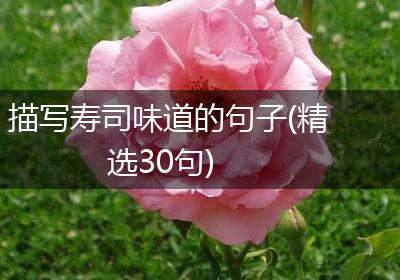 描写寿司味道的句子(精选30句)