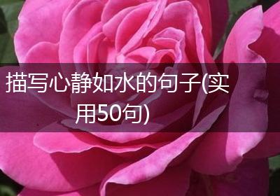 描写心静如水的句子(实用50句)
