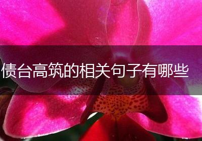 债台高筑的相关句子有哪些