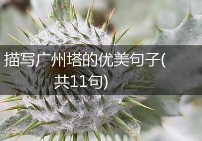描写广州塔的优美句子(共11句)
