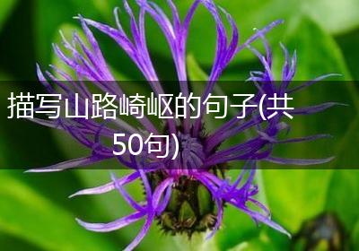 描写山路崎岖的句子(共50句)
