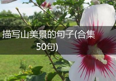 描写山美景的句子(合集50句)