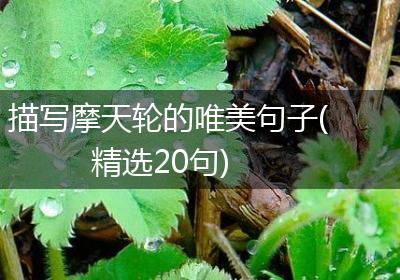 描写摩天轮的唯美句子(精选20句)
