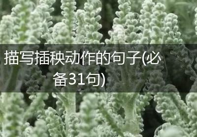 描写插秧动作的句子(必备31句)