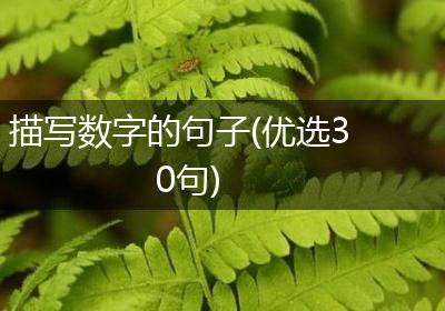描写数字的句子(优选30句)