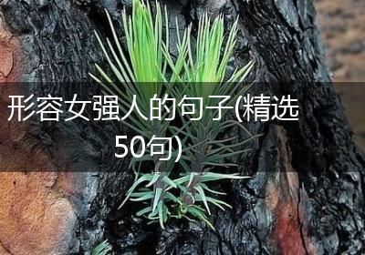 形容女强人的句子(精选50句)