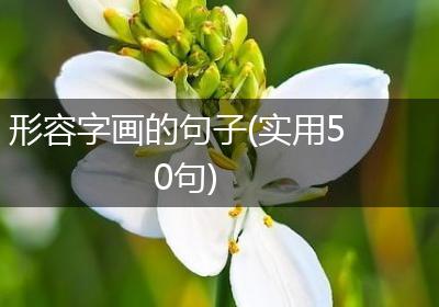 形容字画的句子(实用50句)