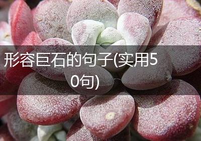 形容巨石的句子(实用50句)