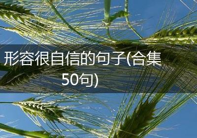 形容很自信的句子(合集50句)