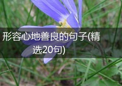 形容心地善良的句子(精选20句)