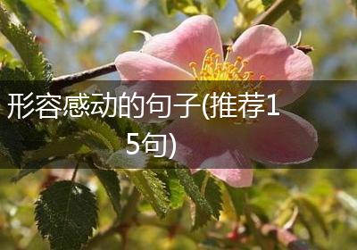 形容感动的句子(推荐15句)