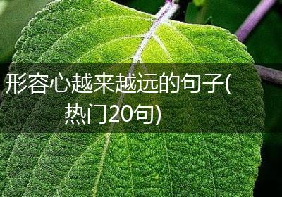 形容心越来越远的句子(热门20句)