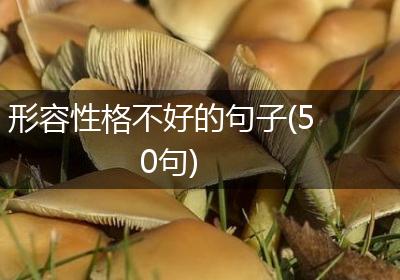 形容性格不好的句子(50句)