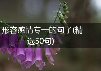 形容感情专一的句子(精选50句)