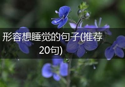 形容想睡觉的句子(推荐20句)