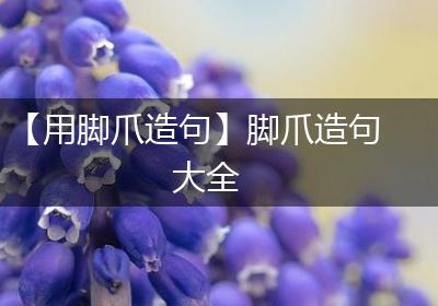 【用脚爪造句】脚爪造句大全